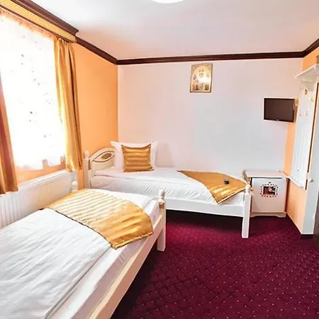 Pensiunea Sibiana Guest house Sibiu