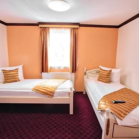 Pensiunea Sibiana Guest house *