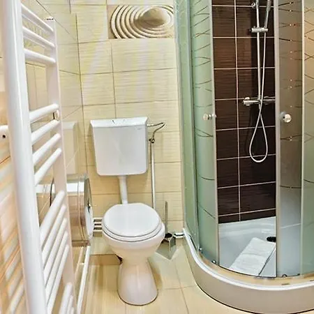 Pensiunea Sibiana Guest house Sibiu