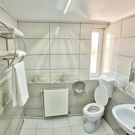 Guest house Pensiunea Sibiana