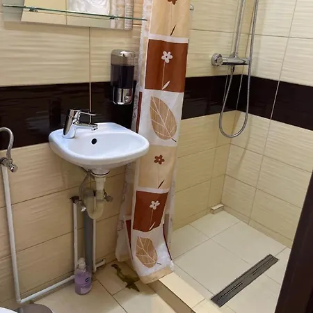 Pensiunea Sibiana Guest house Sibiu
